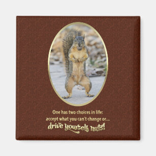 Serenity Prayer i Nutshell Magnet