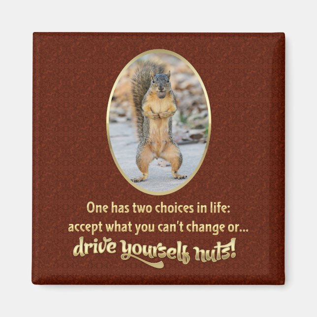 Serenity Prayer i Nutshell Magnet (Framsidan)