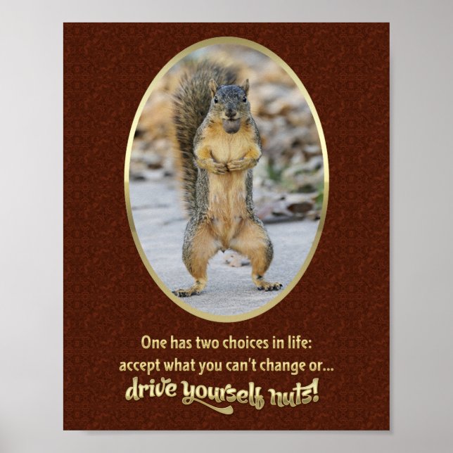 Serenity Prayer i Nutshell Poster (Framsidan)