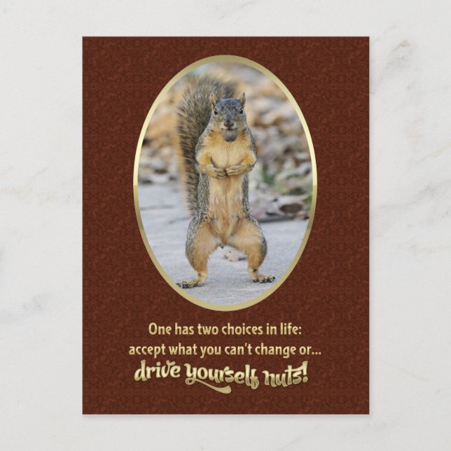 Serenity Prayer in a Nutshell Vykort (Framsida)