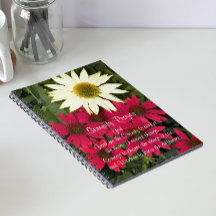 Serenity Prayer Konblommor Blommor