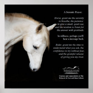 Serenity Prayer Poster för hästar och människor