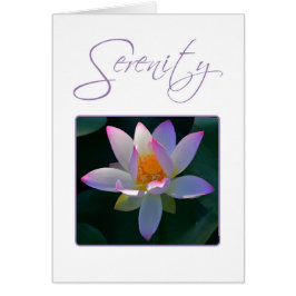 Serenity Prayer Rosa Lotus Flower Hälsningskort
