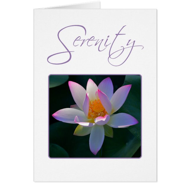 Serenity Prayer Rosa Lotus Flower Hälsningskort (Framsidan)