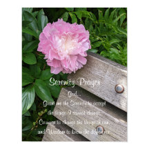 Serenity Prayer Rosa Peony Blommig