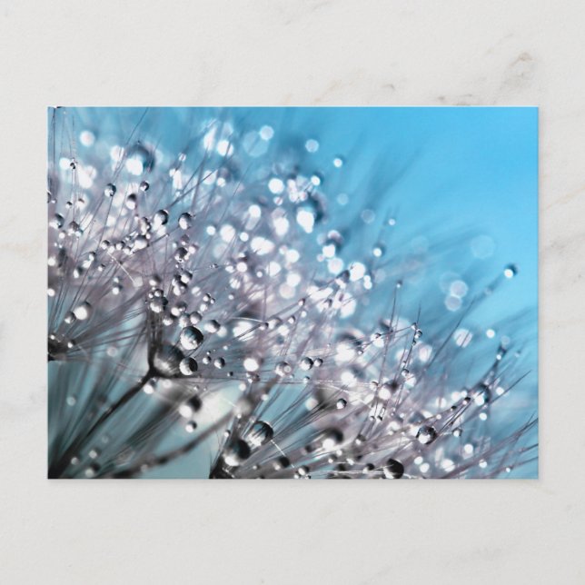 Serenity Prayer Sparkling Dew Himlar Blue Backgrou Vykort (Framsida)