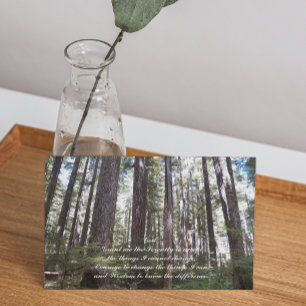 Serenity Prayer Sunlit Forest Photo Blank Kort