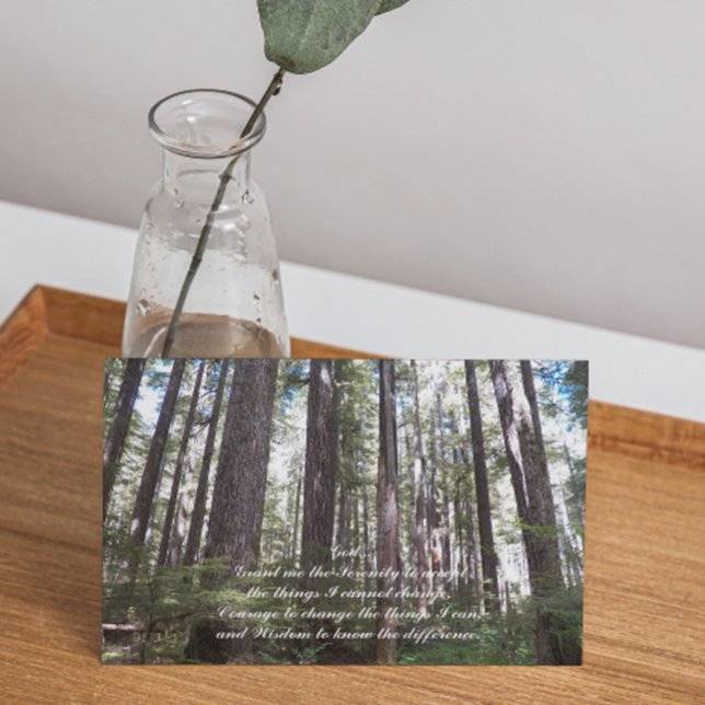 Serenity Prayer Sunlit Forest Photo Blank Kort (Skapare uppladdad)