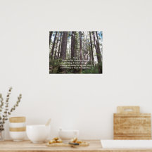 Serenity Prayer Sunlit Forest Photographic