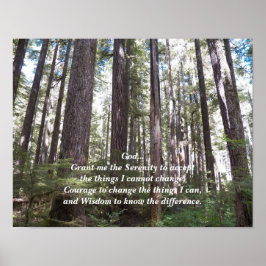 Serenity Prayer Sunlit Forest Photographic Poster