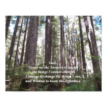Serenity Prayer Sunlit Forest Photographic