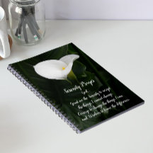 Serenity Prayer Vit Calla Lily Blomma