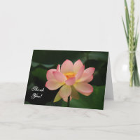 Serenity Rosa Lotus Flower Buddhist Tack
