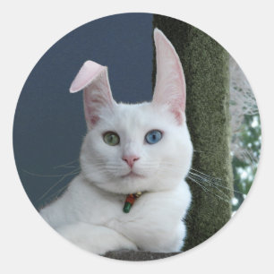 Serenity som Bunny-dekal Runt Klistermärke