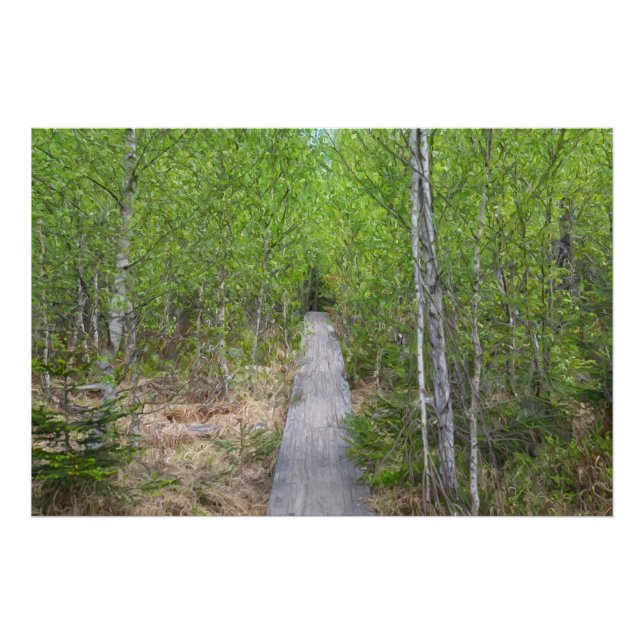 Serenity Trail Fototryck (Framsidan)