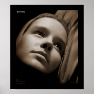 Serenity V2 Poster