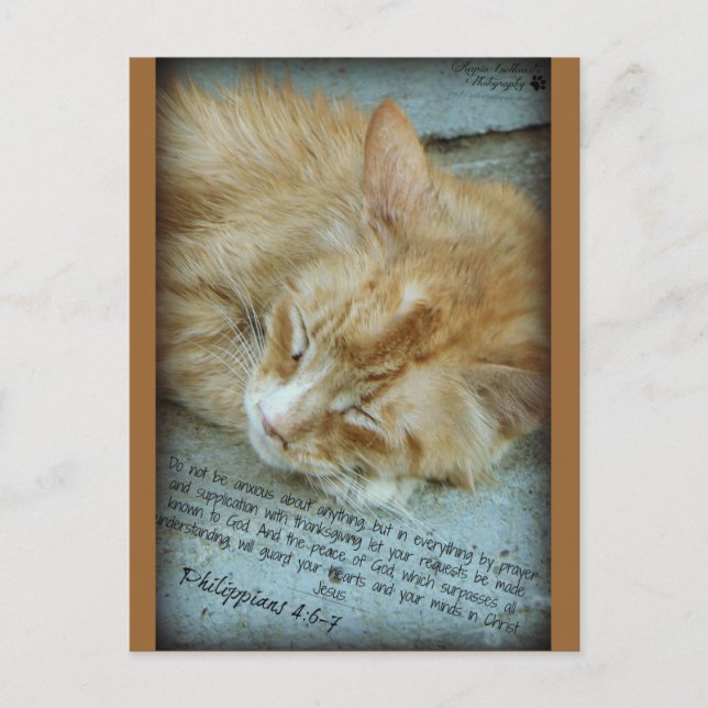 Serenity Vykort (Framsida)