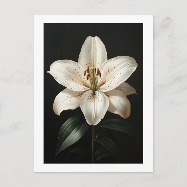 Serenity White Lily - Elegant Blommstrande Hyllnin Vykort (Framsida)