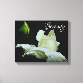 Serenity White Rosenknopp Inspirational Ord Canvastryck