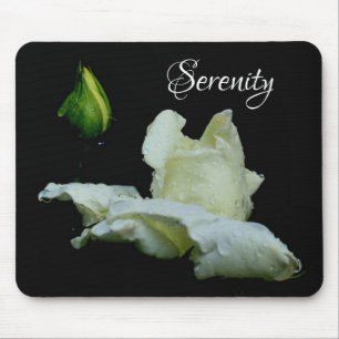 Serenity White Rosenknopp Inspirational Ord Musmatta