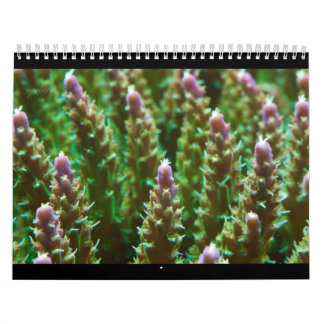 Serenitykalender för 2012 rev kalender