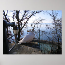 Serenöversikt Poster