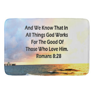 SERENRUMERNA 8:28 SCRIPTURE VERSE BADRUMSMATTA