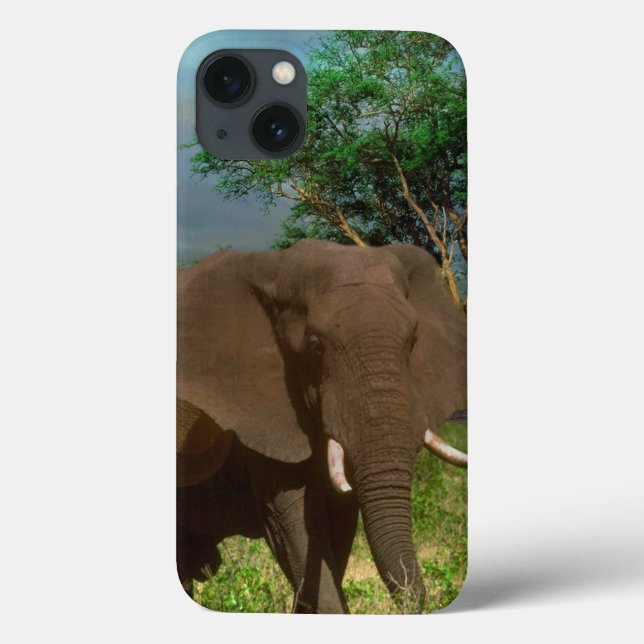 "Serenstyrka: Bull Elephant Grazing" (Baksida)