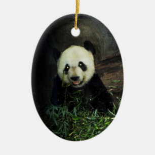 Serie för hotade arter för Pandaprydnad~ Julgransprydnad Keramik