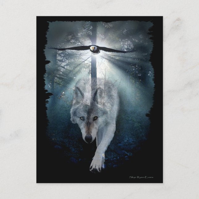 Serie för VARG- & ÖRNdjurlivvykort Vykort (Framsida)