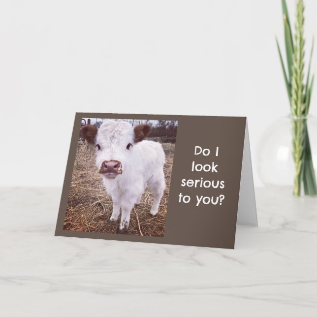 SERIÖS/KUTE COW SAYS "GRATTIS PÅ FÖDELSEDAGEN" KORT (Framsida)