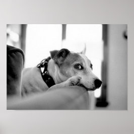 Seriös Side Öga. Poster