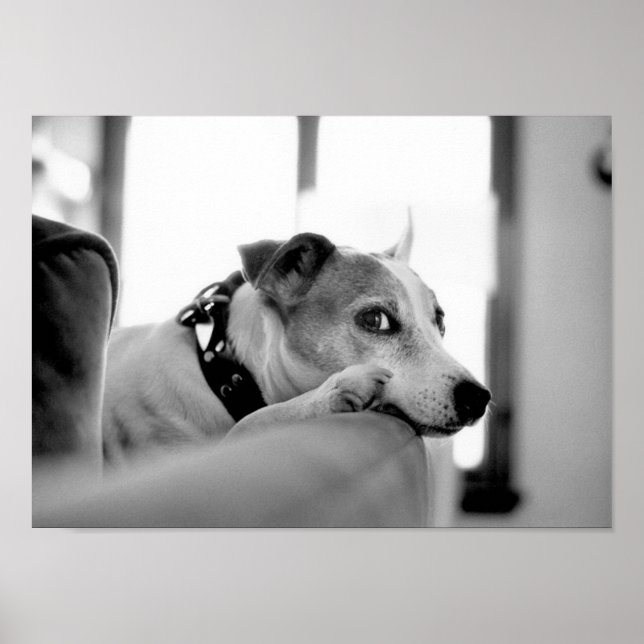 Seriös Side Öga. Poster (Framsidan)