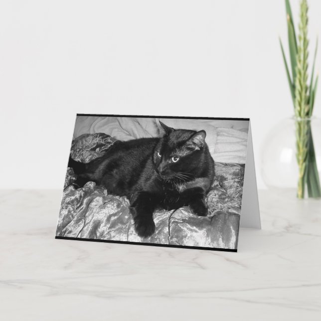 Seriös svart katt kort (Framsida)