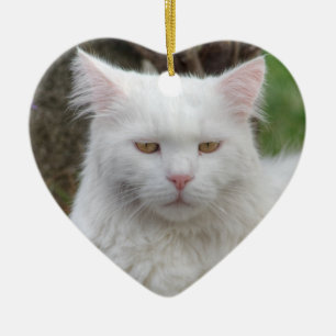 Seriös vit katt julgransprydnad keramik