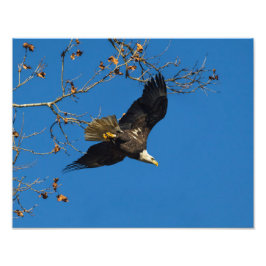 Seriösa företag fototryck