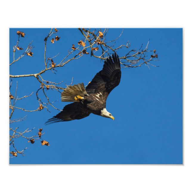 Seriösa företag fototryck (Framsidan)