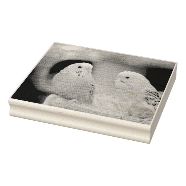 Seriösa nycklar stämpel (Stämpel)