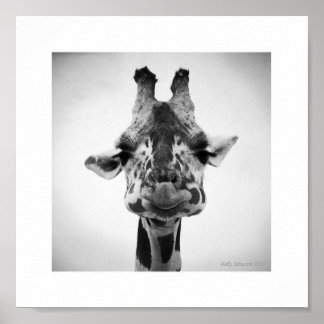 Serious Giraffe Black and White Photography Poster