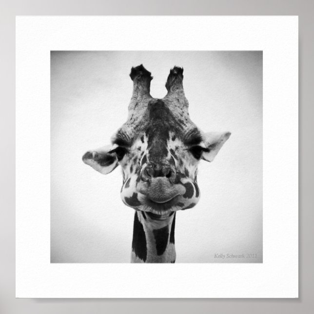 Serious Giraffe Black and White Photography Poster (Framsidan)