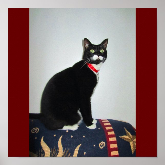 Serious Lucy Poster (Framsidan)