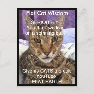 Serious Sebastian Postcard Vykort