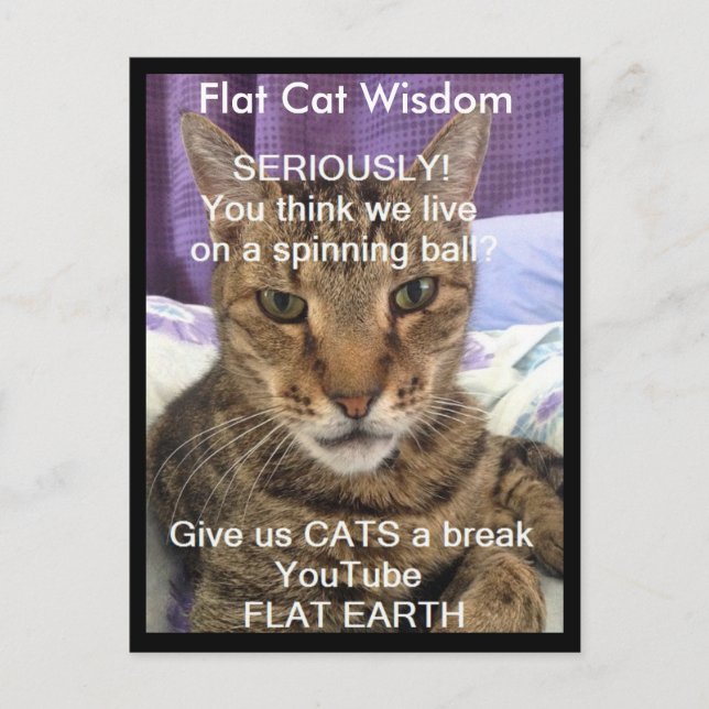 Serious Sebastian Postcard Vykort (Framsida)