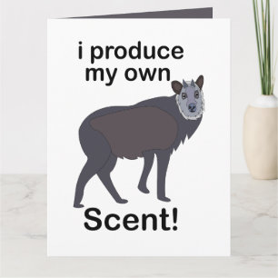 Serows djur jag producerar min egen doft Roligt ci Kort