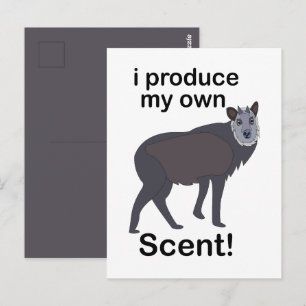 Serows djur jag producerar min egen doft Roligt ci Vykort