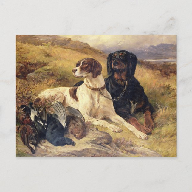 Serva vapnen vykort (Framsida)