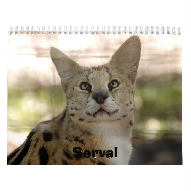 serval 017, Serval Kalender (Omslag)