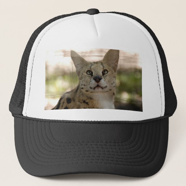 serval 017 truckerkeps (Framsida)