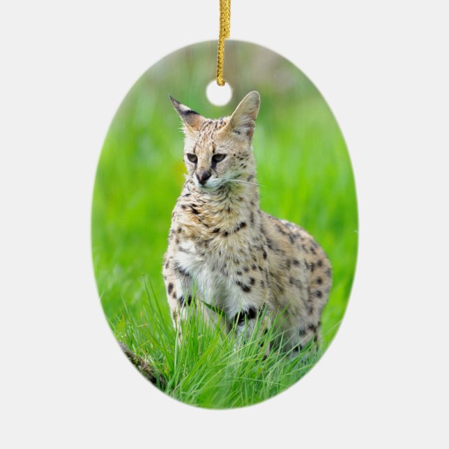 Serval i gräset julgransprydnad keramik (Framsidan)