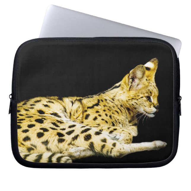 Serval Laptop sleeve (Framsidan)
